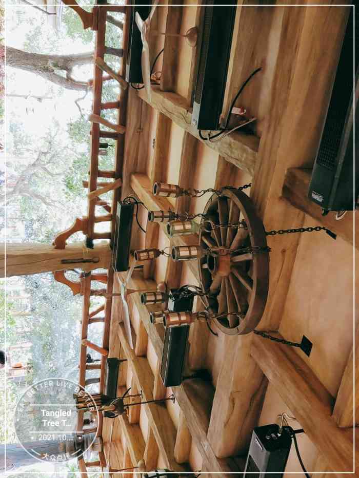 tangled tree tavern 老藤树食栈-"这家终于开放了,作为脑残粉立刻去