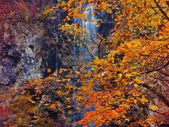 -关门山森林公园