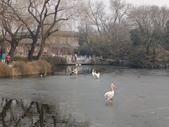 -北京动物园