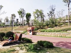 -桂溪生态公园