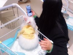 -怪兽屋·羊驼·猫咖·狗咖(俊华广场店)