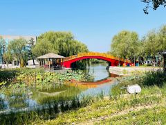 -稻香湖景欢乐岛温泉城堡
