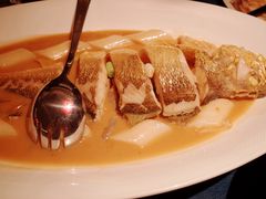 -老吉堂上海本帮菜(工体店)