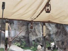 -香港海洋公园