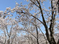 -龙美术馆(西岸馆)