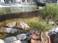 -蘇河湾·新鲁菜·泰山宴(泰山店)