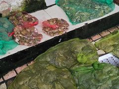 -西双版纳集贸市场