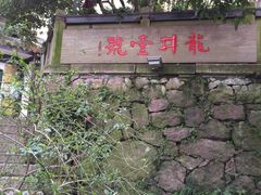 -龙井壹号·茶缘山景宴(龙井村店)