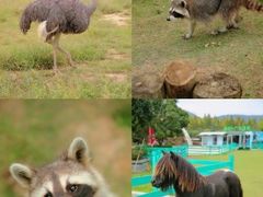 -茅山东方盐湖城景区