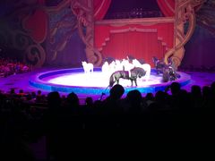 -珠海横琴长隆《卡卡虎奇遇记》