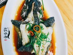 清蒸石斑鱼-金家港海鲜大排档(中山路店)