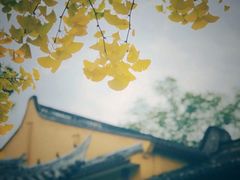 -龙华寺
