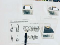 -北京周口店北京人遗址博物馆