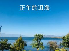 -野菌皇海景野生菌火锅(滨海大道店)