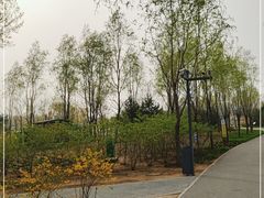 -东郊湿地公园