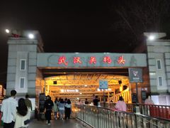 -武汉关码头(轮渡站)