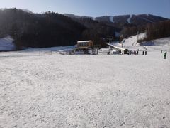 -亚布力新体委滑雪场