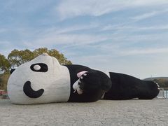-苏州太湖国家湿地公园