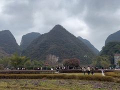 -靖西鹅泉风景区