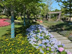 -春花秋色城市公园