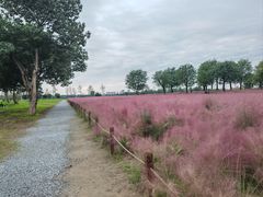 -汉长安城未央宫国家考古遗址公园