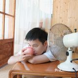 富士x100v|夏日写真 日式小木屋的通透感