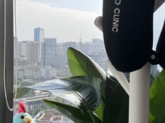 -马泷齿科·成都锦江置略马泷口腔门诊部(IFS国金中心店)