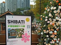 -重庆十八梯传统风貌区