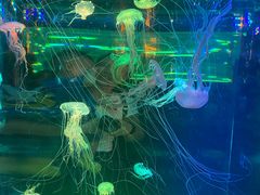 -正佳极地海洋世界