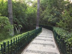 -西安市长乐公园