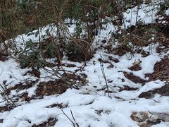 -安吉龙王山峡谷漂流