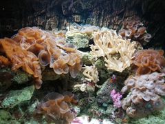 -北戴河圣蓝海洋公园