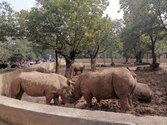 -西安秦岭野生动物园