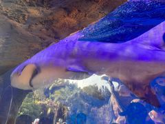 -横店影视城梦幻谷园区