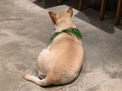 -Cactus墨西哥仙人掌餐厅