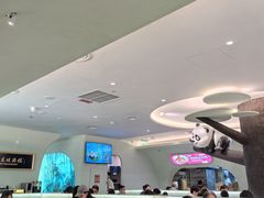 -眉州东坡·熊猫主题餐厅(枫蓝店)