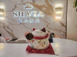 -茜尔维亚修身连锁