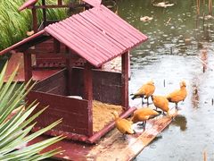 -水绘园