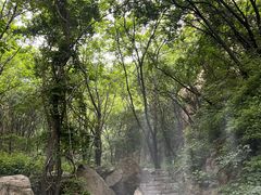 -大岭沟猕猴桃谷风景区