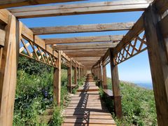 -白草畔自然风景区