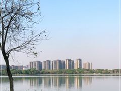 -顺峰山公园