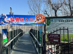 -青藏高原野生动物园