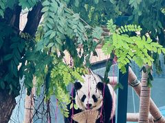 -天津市动物园