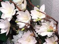 -霸王茶姬(正佳广场店)