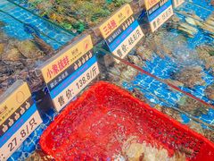 贵妃蚌-锅上蒸·特色蒸汽海鲜(龙洞店)