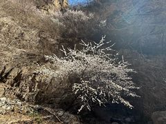 -龙门涧景区