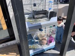 -小意思咖啡店(草桥店)