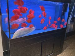 -康悦足疗(长安锦绣店)