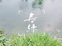 -两河城市森林公园