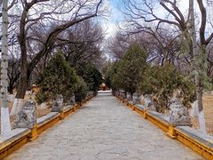 -罗布林卡